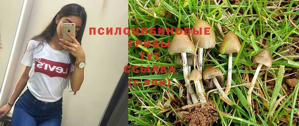 таблы Арсеньев